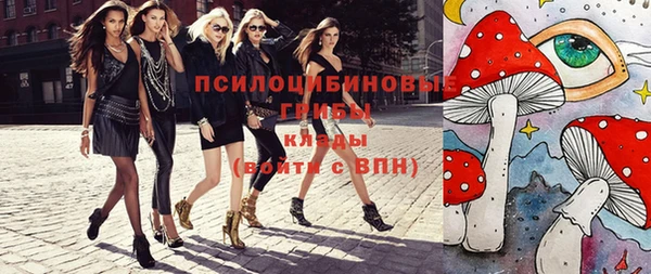 гидропоника Богородск