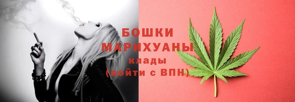 гидропоника Богородск
