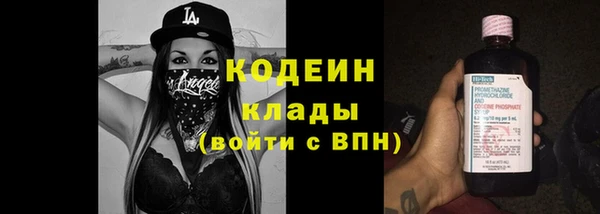 стафф Богданович