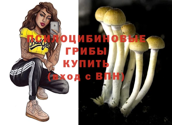 скорость Богородицк