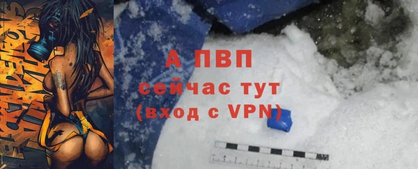 стафф Богданович
