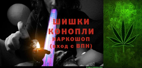 стафф Богданович