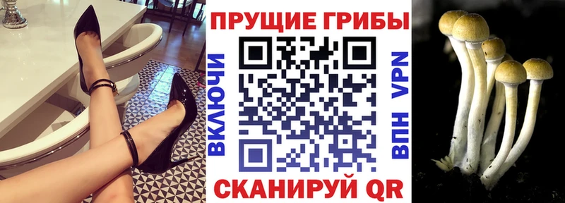 Галлюциногенные грибы MAGIC MUSHROOMS  что такое   Верхотурье 